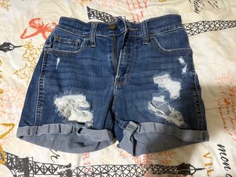 HOLLISTER .SZ 0