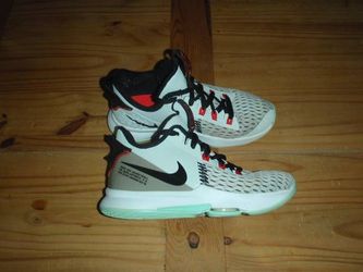 Nike LeBron Witness 5 - Pure Platinum - Youth Size 5.5