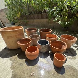 Plant Pots