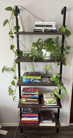 Wall Mounted Book Shelf