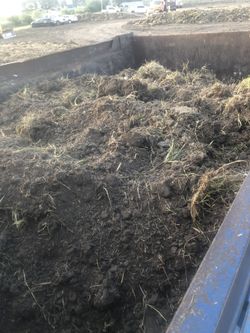 Fill Dirt