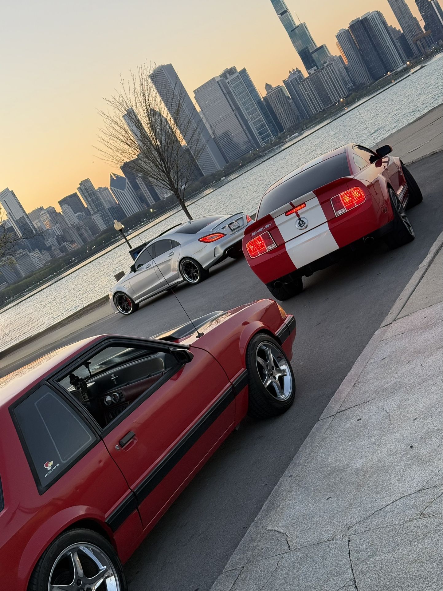 1989 Ford Mustang
