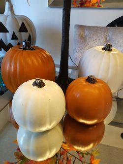 Pumpkis