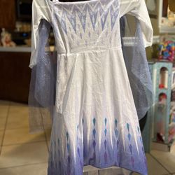 Frozen Costume