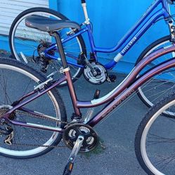Schwinn/ Raleigh Bike