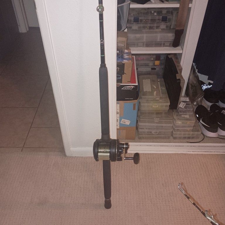 CALSTAR ROD SHIMANO TLD 2 SPEED REEL