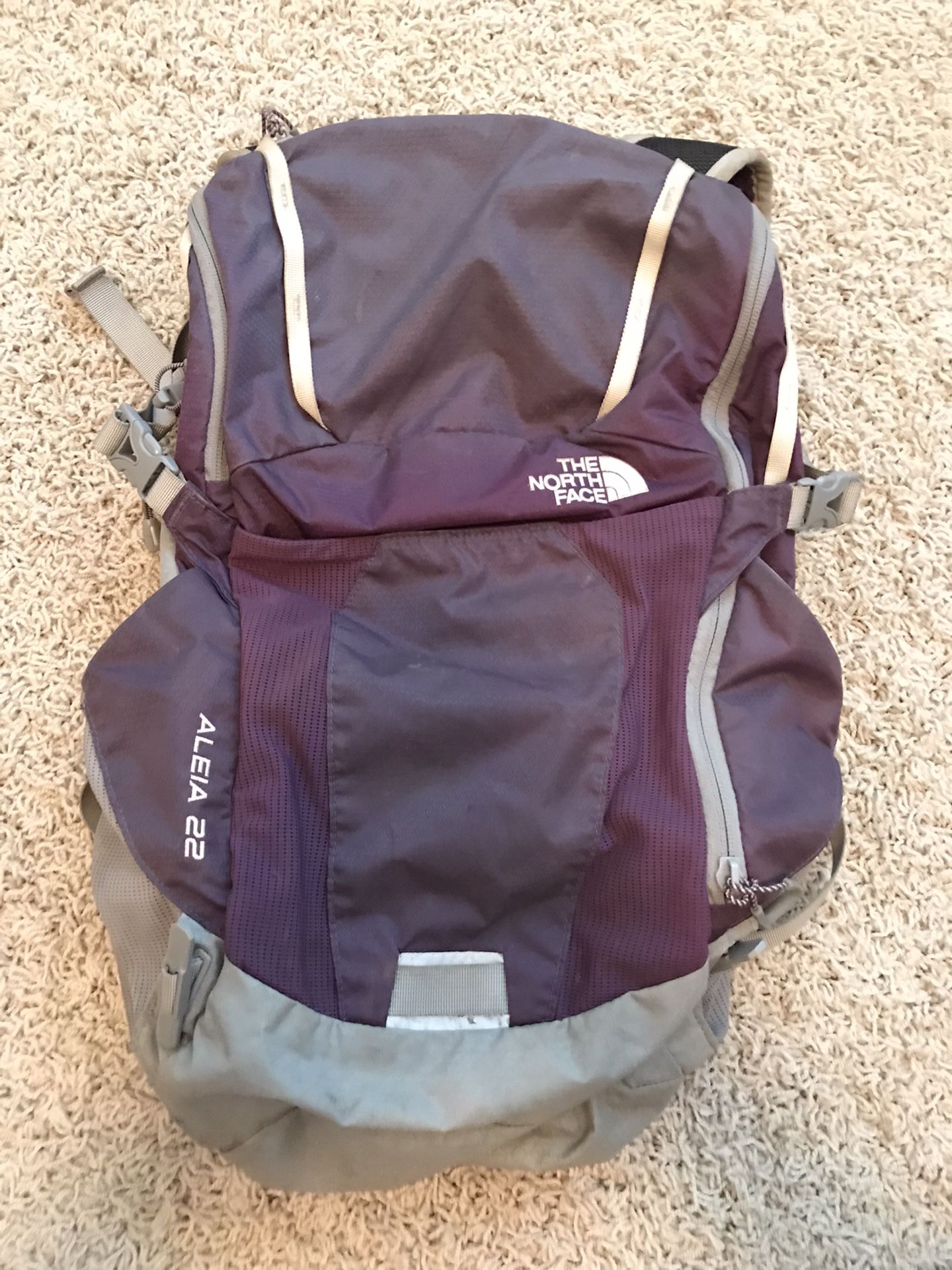 North Face Backpack - 22L