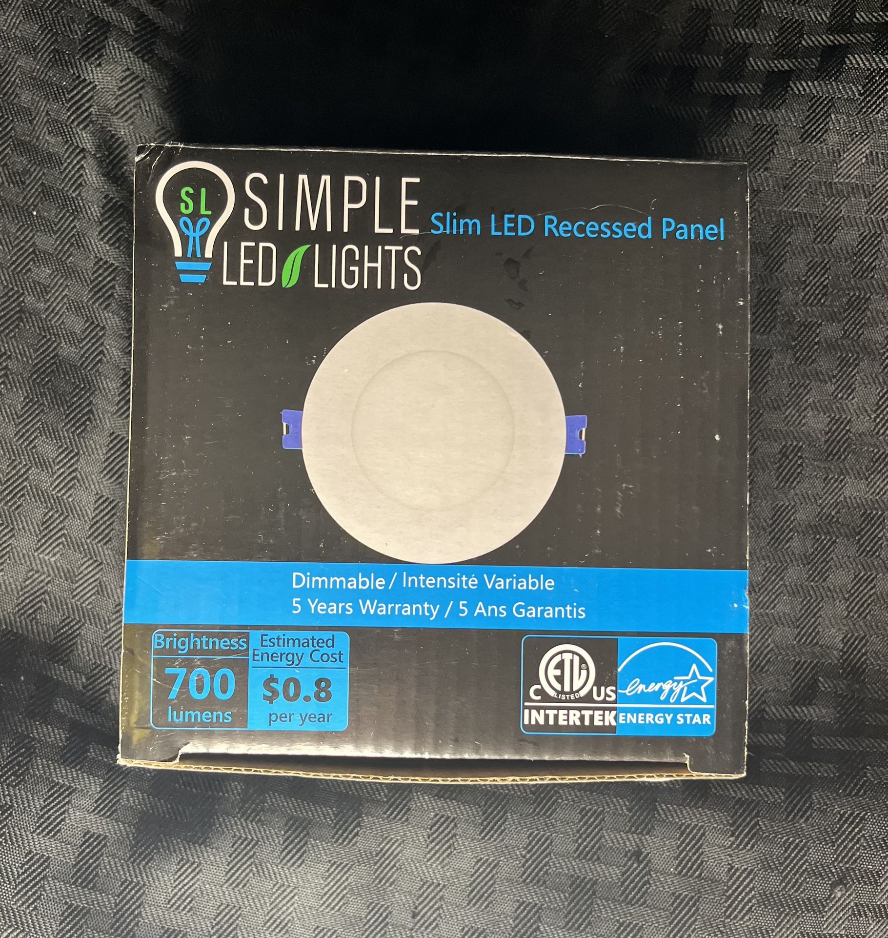 Simple LED Lights 4” Ultra Slim Recessed Panel