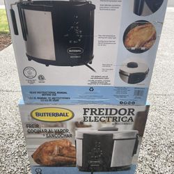 Electric Fryer 