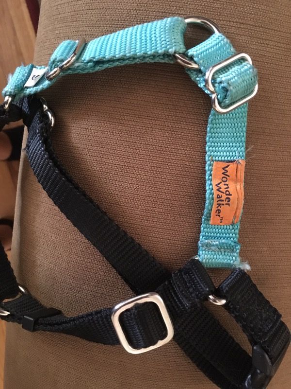 Wonder Walker dog harness's for Sale in Bellevue, WA OfferUp