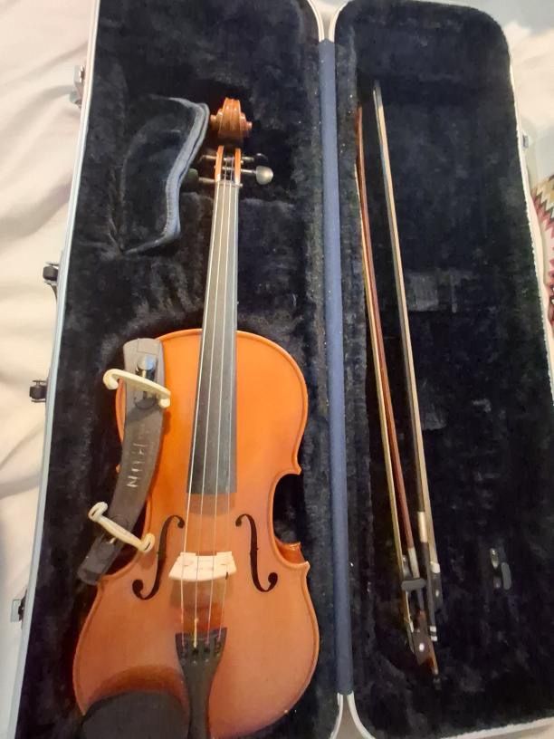 Viola