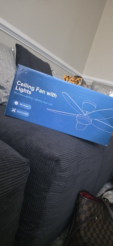 Fan Witg Lights
