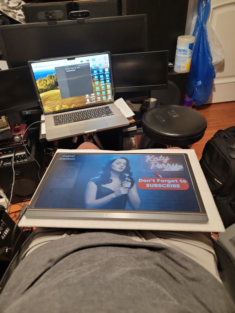 Lepow Portible Computer Monitor