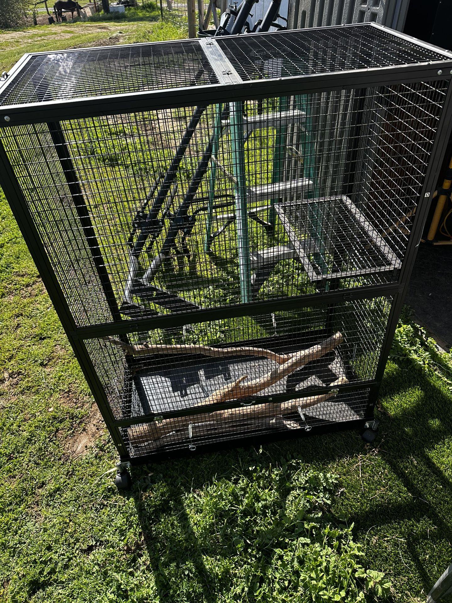 Lizard Cage