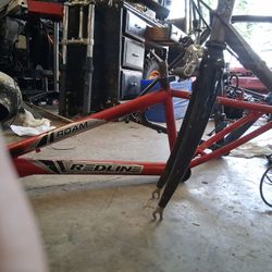 Racing Bikes Carbin Fiber Light Jamis, Lightspeed,redline