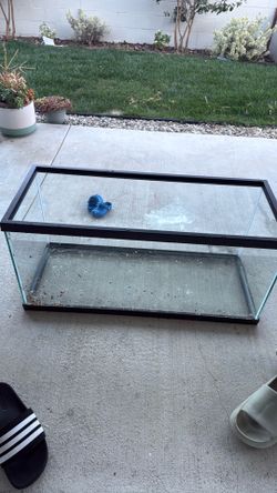 20 gallon long aquarium