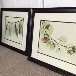 Two Framed Pictures