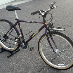 Doecialized Retro Mountainbike 