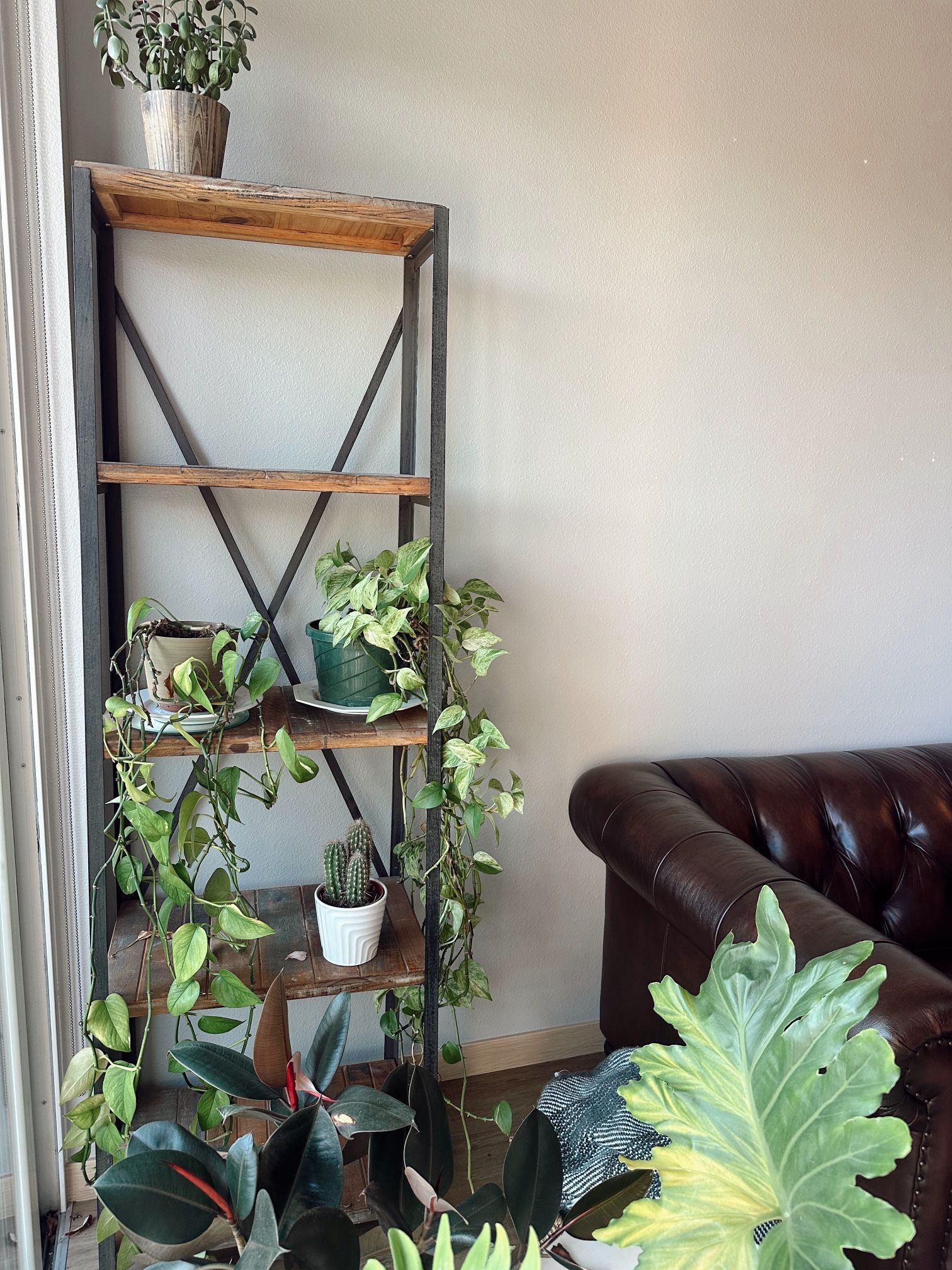 Standalone Bookshelf