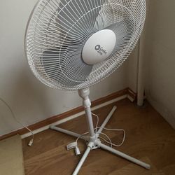Electric Fan