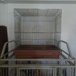 Bird Cage 