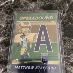 Stafford With Case