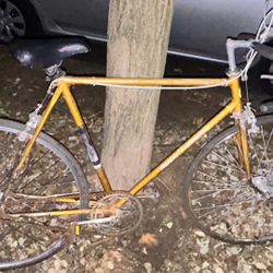 Ruch Le Commander Bike 