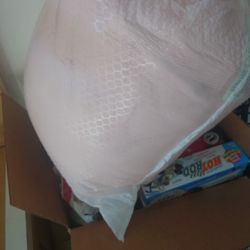 Teddy Bear And Scooter 