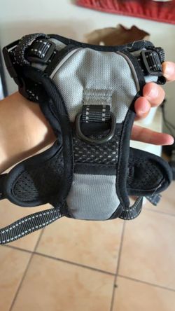 Dog harness