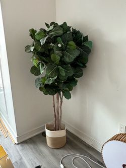 Artificial Fiddle Leaf Fig + Basket