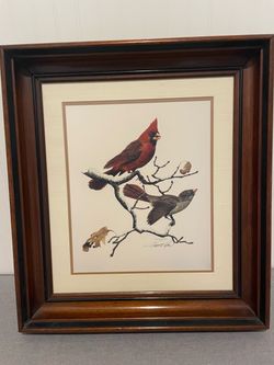 Framed Harold Roe Print of Cardinals