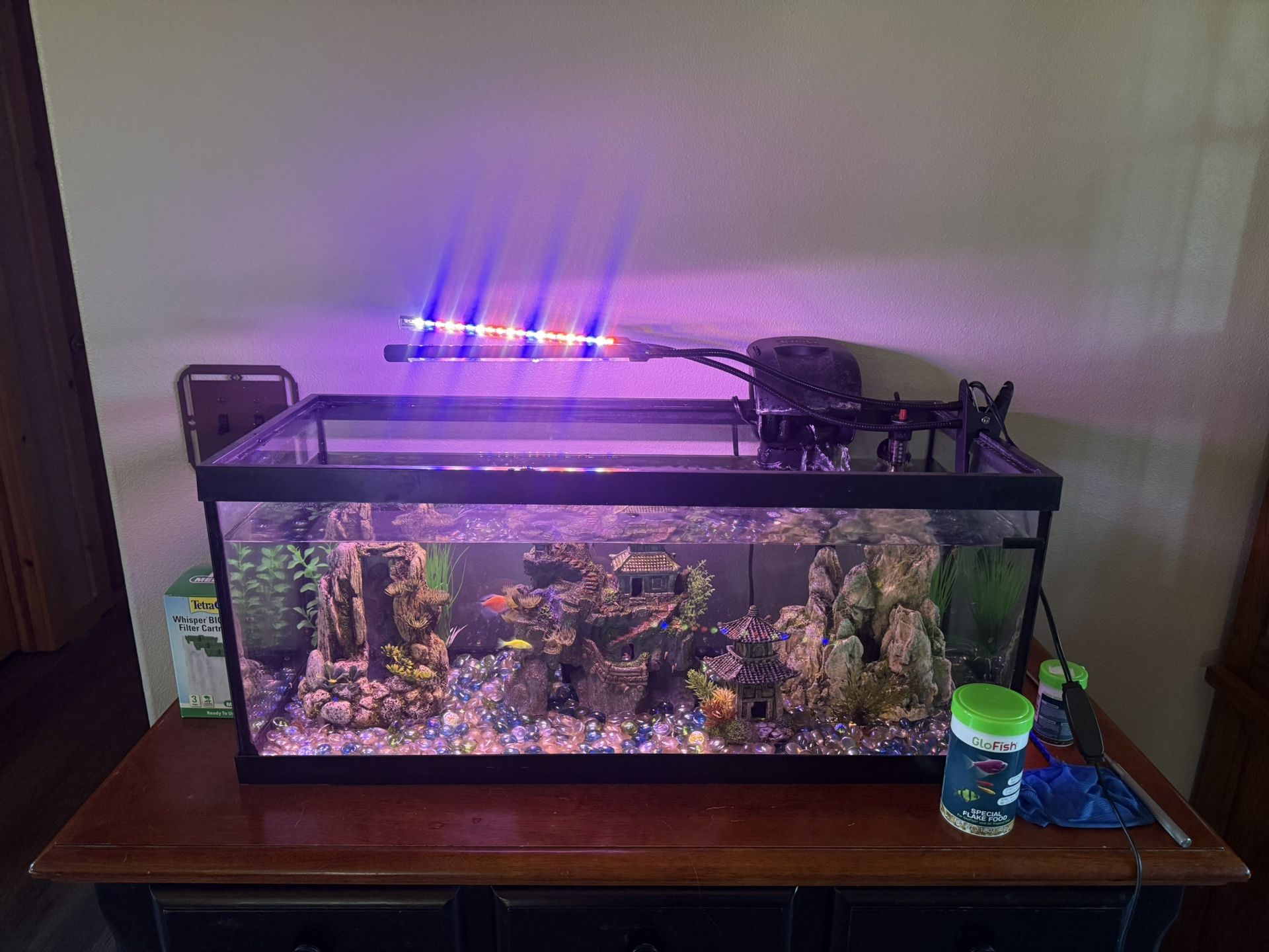 20 Gallon Fish Tank(Comes With Pump And Heater- No Lights)