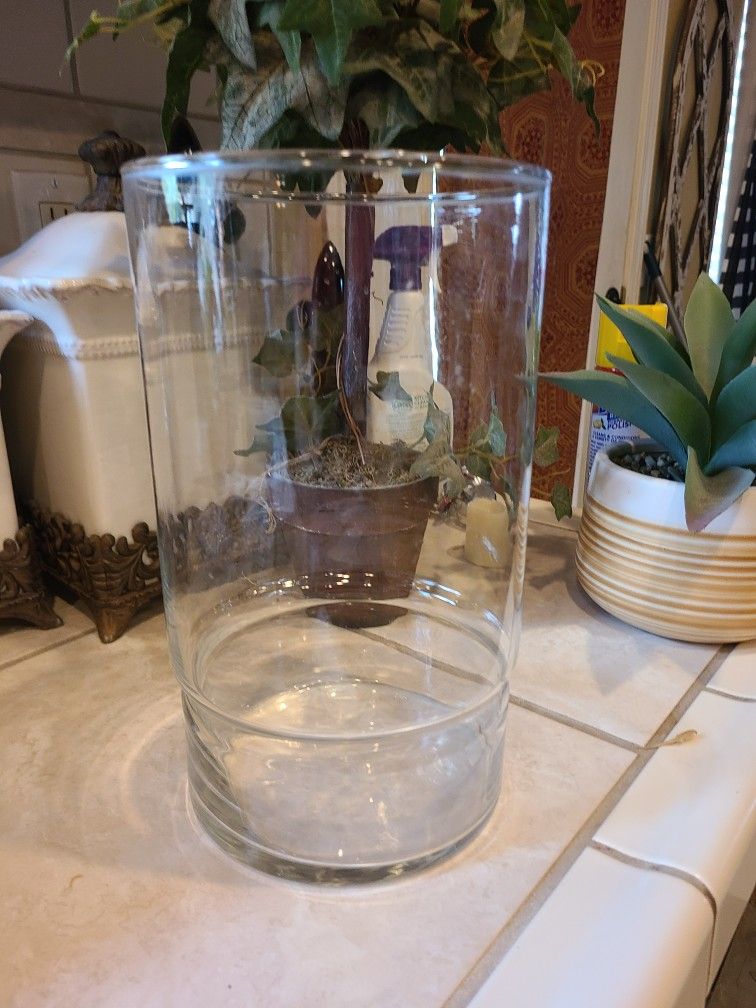 Everyday Glass Vase