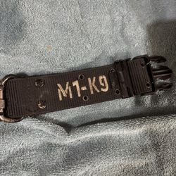 Dog Collar