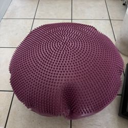 Purple Balance Cushion