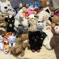 Stuffed Animal Lot
