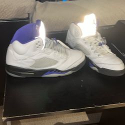Dark Concord Jordan 6s Size 12