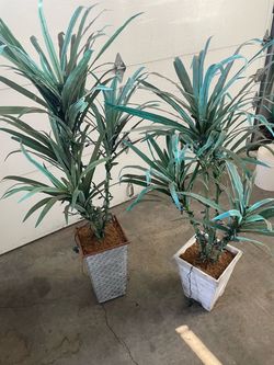 Fake palm trees with lights