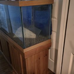 125 Gallon Tank Setup 