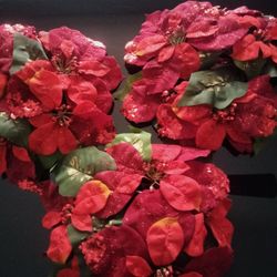 Set Of 3  Pointsettia 12" Candle Rings 