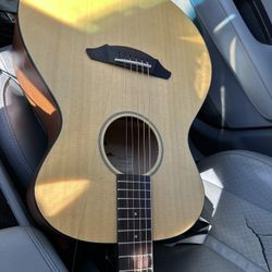 Breedlove Atlas Guitar 