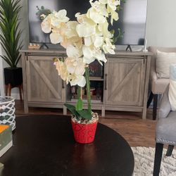 Floral Orchid