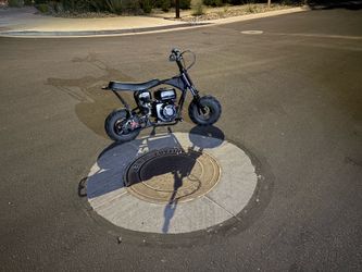 Custom predator mini bike