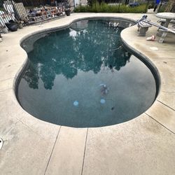 Pool Treatment/ Pools Pentair /Hayward/waterway