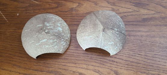 Coconut Shell Halves – Set of 2