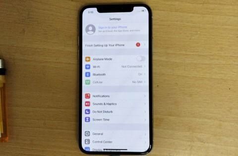 Apple iPhone X