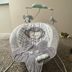 Baby Bouncer 