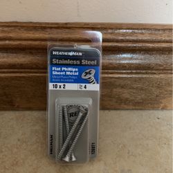 Weather Maxx Stainless Steel Flat Phillips Sheet Metal 10x2 Screws