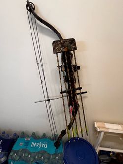 Compound Bow