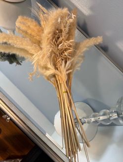 Dried Pampas Grass Bundle
